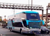 Abba Bus 158, por Leonardo Saturno