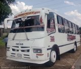 A.C. Transporte Paez 040, por Yenderson Fernndez C.