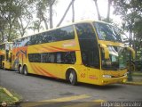 Transporte Clavellino 060