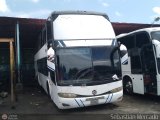 En Chiveras Abandonados Recuperacin 027, por Sebastin Mercado