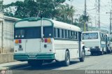 CA - Asociaci�n Coop. El Trigal R.L. 11