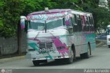 DC - A.C. de Transporte Llanito - Cafetal 57