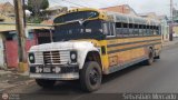 Colectivo Matera Nueva 98