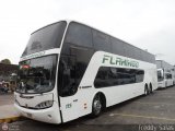 Expresos Flamingo 0115
