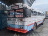 U.C. Campo Mara 013 Thomas Built Buses Saf-T-Liner ER International 3000RE