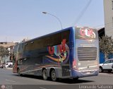 Transportes GM Internacional (Per) 969