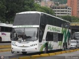 Expresos Flamingo 0132