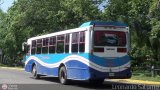 Transporte Frontera 41