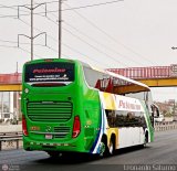 Expreso Internacional Palomino 8014