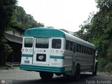 Transportes Unidos Rubio - Santa Ana 07 Ward Body Works Volunteer Ford B-750