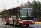 Trolmerida - Tromerca 15