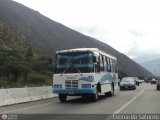 Lnea Los Andes S.C. 025, por Leonardo Saturno