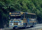 Colectivos Altagracia 07, por Pablo Acevedo