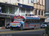 Transporte Palo Negro La Morita 2 004