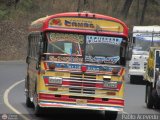 Transporte Colectivo Camag 08