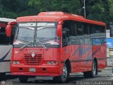 Uni�n Valencia A.C. 110 por Antonio Casamayor