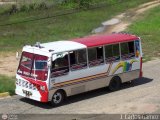 Ruta Urbana de El Tigre-AN 30 Carrocera Alkon P30 Chevrolet P31 Nacional