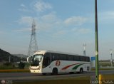 Transporte Ftima 104 Maxibus Lince 3.45 Scania K310