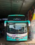 Tours Angel Divino S.A.C. (Per) 014, por Leonardo Saturno