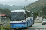 Particular o Transporte de Personal 295