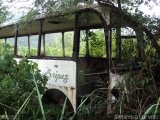 En Chiveras Abandonados Recuperacin 75 Intercar Urbano Grande Pegaso 1217