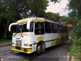Lnea Los Andes S.C. 036, por Kleyzer Caldern