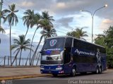 Uni�n Conductores Ayacucho 2083 por Cesar Romero Arismendi