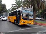 Micros Amarillas 186 Caio - Induscar Apache S21 Mercedes-Benz OH-1420