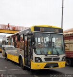 Per Bus Internacional - Corredor Amarillo 2024