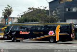 Transporte Flores Hermanos S.R.L (Per) 246