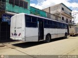 A.C. de Transporte Santa Ana 24