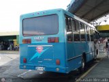 U.C. Lneas Unidas 100