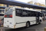 Coop. Transporte Menca de Leoni 101, por Dilan Noguera
