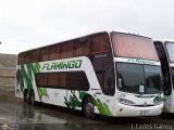 Expresos Flamingo 0119