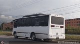 Transporte El Faro 053