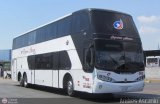 Expresos Alianza 005 por Andr�s Ascanio