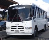 Lnea Unin S.C. 81