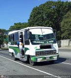 DC - Cooperativa de Transporte Pasajeros del Sur 118