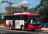 Uso Oficial 999 Reco Citybus International 3000RE