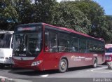 Bus Vargas 6878, por Raza Ros