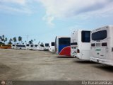 Garajes Paradas y Terminales Puerto-Cabello, por Aly Baranauskas