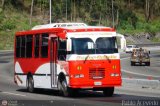 Coop. de Transporte La Candelaria 83