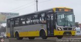 Per Bus Internacional - Corredor Amarillo 2032