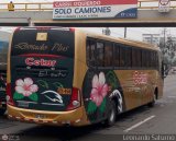 Cetur S.R.L. 950
