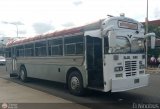 Colectivos Perij 11, por El Niobs