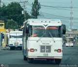 L�nea Altagracia 99, por Pablo Acevedo
