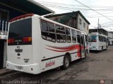 A.C. Transporte Paez 008, por Yenderson Fernandez C.