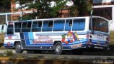 Transporte Taes 17