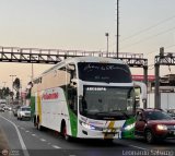 Expreso Internacional Palomino 7033