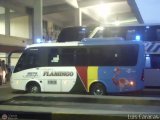 Cootragua 3273 Marcopolo Senior G7 Chevrolet NPR Reward